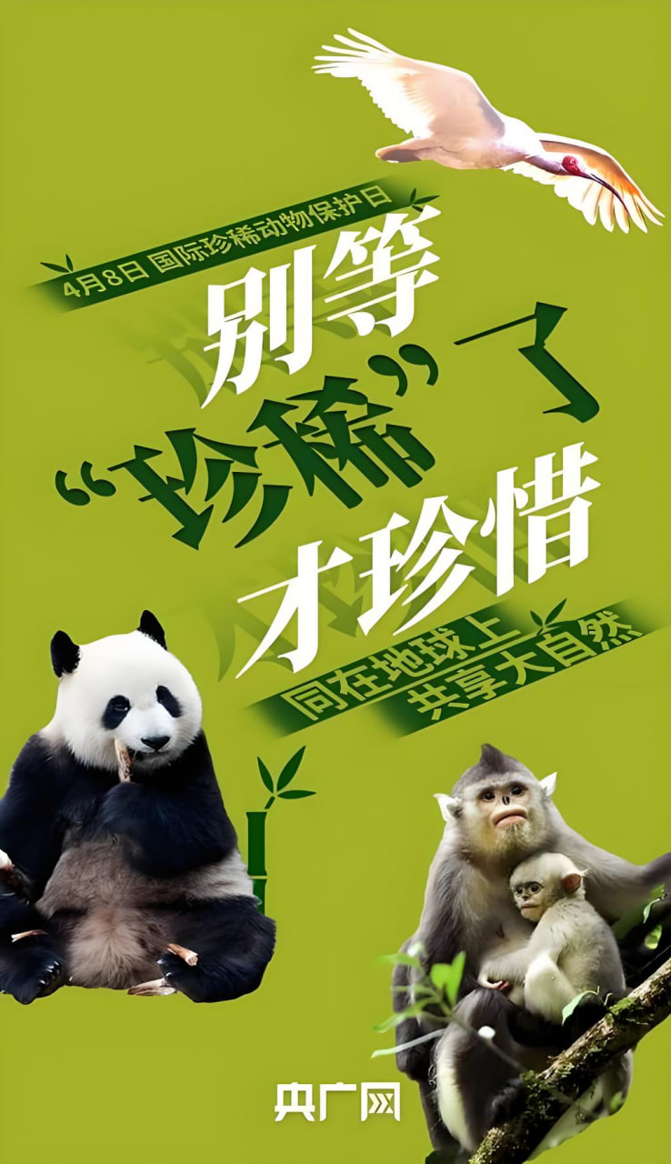 电影海报